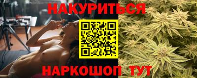 амф Бийск
